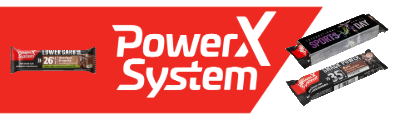 Power System